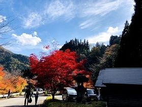 但馬の紅葉どこに見に行きますか??