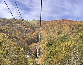「中部山岳国立公園八方尾根」紅葉の見ごろ迎えています