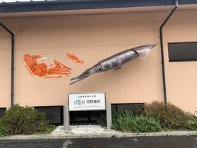 自然の風景
