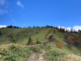 軽登山?【大川入山:おおかわいりやま】登山