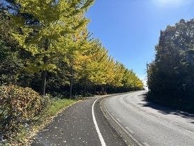蒜山高原周辺の紅葉情報