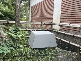🐝冬休みに入ります