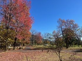 秋色に染まった蒜山高原。紅葉キャンプで秋を満喫♪