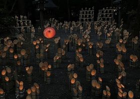 穂高神社【神竹灯】に行ってきました！