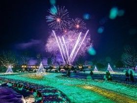 心ときめく「とっとり花回廊フラワーイルミネーション」