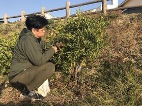 柚子の収穫&イベント風呂