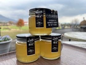 売店にて「ビワ香る純蜂蜜」数量限定販売中です!