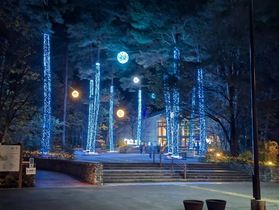 あづみの公園のイルミネーション♪