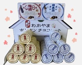 冬のお土産にピッタリ⛄和歌山ボンボンチョコ🍫