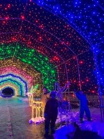 KOIWAI WINTER LIGHTS(イルミネーション)
