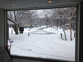 本日の奥日光／Today's Okunikko