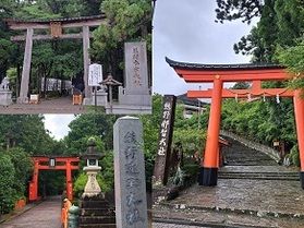 どこへ行く? 紀南エリアの初詣!