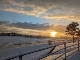 新年あけましておめでとうございます♪
