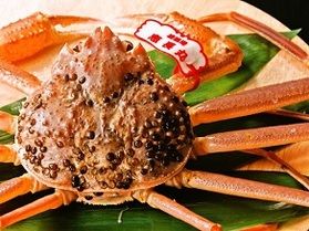 ご夕食に添える「タグ付き松葉がに」の姿ボイル予約承り中!
