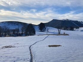 「レベルが違う」雪の上の足跡って、これは道だね!