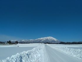 冬日和