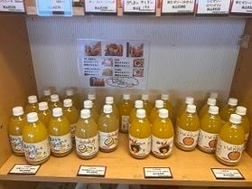 愛媛といえばみかん♪♪