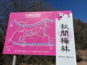 秋間梅林に行ってきました！