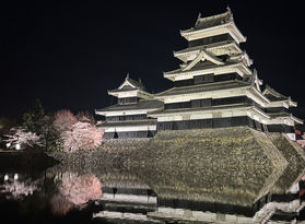 オススメの桜スポット🌸