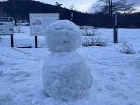 湯ノ丸高原の雪だるまと、６月中旬から見頃のレンゲツツジ