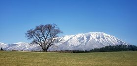 まちどおしい:桜:+α