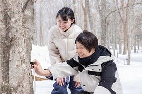 残りあと2回!「森の恵み体験~日光産メープルシロップ~」