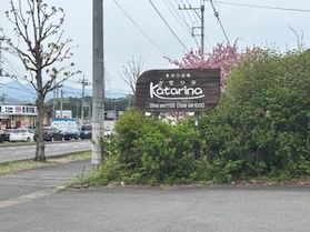 洋食屋さんカタリナに行って来ました！