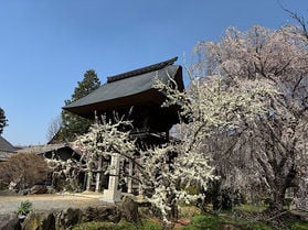 ほっと一息 安養寺