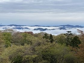 雨上がりの景色