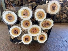 暖炉で使ている薪は何の木～？