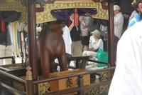 庄内三大祭りのフィナーレ!「大山犬まつり」