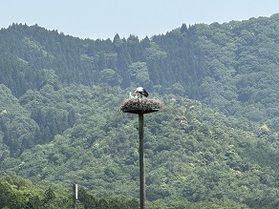 愛くるしい風景♪子育て中!