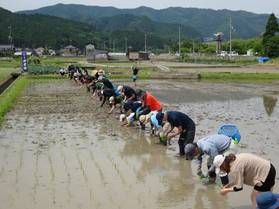 【真庭のイベント】６月８日開催！真庭雄町田植え体験
