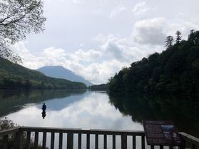 新緑が美しい！湯ノ湖畔散策はいかがでしょうか