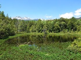 牛留池