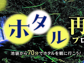 【6月6日 ホタル情報】飛んでいます!