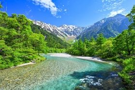 緑美しい上高地