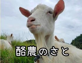 おすすめスポット【 酪農のさと 】