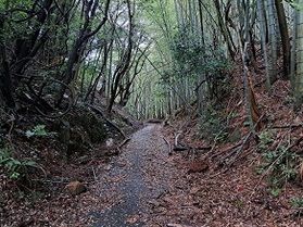 当館から最も近い旧国道&廃道! 完結編 旧旧道散策