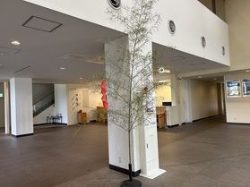 もうすぐ七夕!ロビーに笹を設置しました!