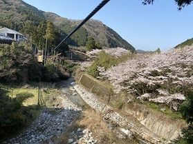 大自然で遊ぼう!!