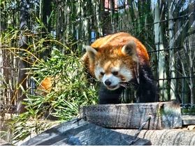 動物園に行ってきました【 千葉動物公園 】　