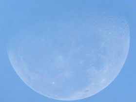 星のソムリエ便り（∪∀∪）♪