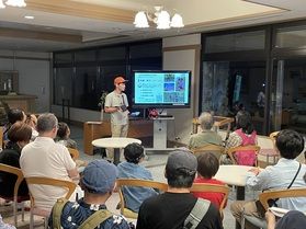 夜の森を散歩してみませんか?