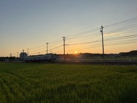 夕陽とえちぜん鉄道と田園風景と。