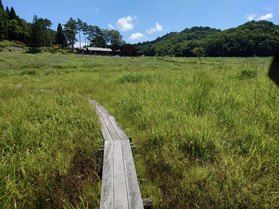 自然を求めて「砥峰高原」