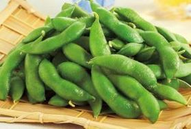 鶴岡夏の名産品『だだちゃ豆』<br>逸品料理販売開始♪