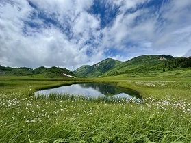 新潟遠征登山！百名山火打山🏔