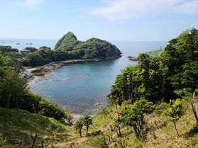 海の中をご紹介します!