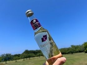 暑い夏は梅ハイを飲もう！！